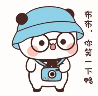 📸 布布，你笑一下鸭 cute, panda, cartoon, sticker, glasses, hat, camera whatsapp sticker