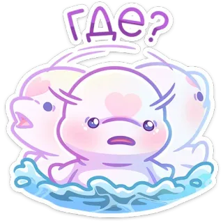 🫥 Где? delfino, carino, domanda, cartone animato, animale whatsapp sticker