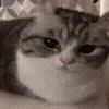 😮💨