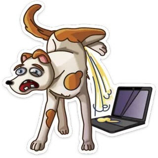 😧 anjing, kartun, humor, urin, hewan, laptop, lucu telegram sticker