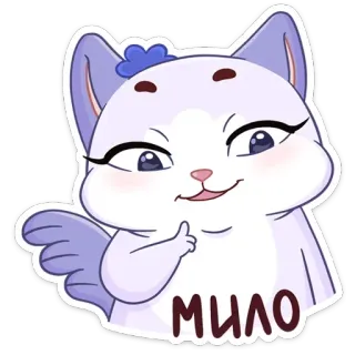 🥺 МИЛО chat, mignon, adorable, animal, chaton whatsapp sticker