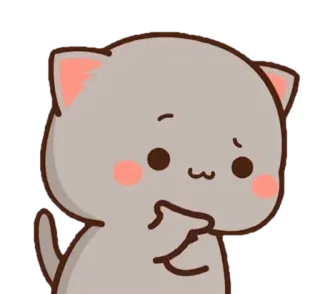✨ mèo, dễ thương, kawaii, động vật, nhãn dán telegram sticker