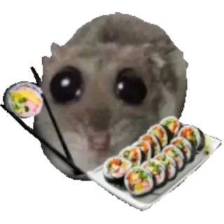 🍱 Sad Hamster sad hamster, meme, sushi, cute, eating, funny, animal telegram sticker
