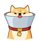 🤪 柴犬, 狗, 圆锥, 项圈, 卡通, 可爱, 动物, 宠物 telegram sticker