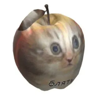 🍏 БЛЯТИ apple, cat, cursing, meme telegram sticker