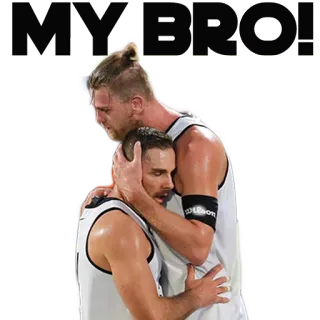 🙋 basketbal, knuffel, emotie, sport, spelers, team telegram sticker