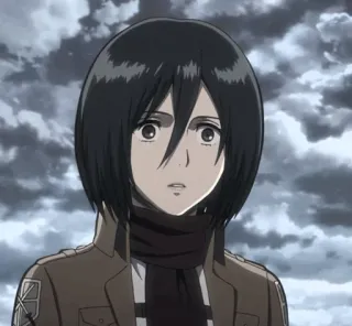 🌿 Mikasa Ackerman Attack on Titan anime, manga, character, attack on titan, mikasa, ackerman telegram sticker