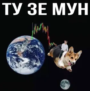 🌚 ТУ ЗЕ МУН собака, земля, луна, криптовалюта, мем, русский, на луну, корги telegram sticker