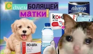 уебанские открытки - @postpozhelaniya telegram stickers