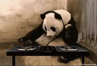 Panda @stickersb2b whatsapp stickers