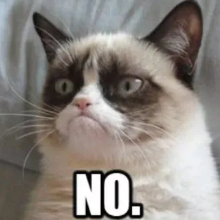 Funny Cats telegram stickers