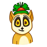 🌈 Mort Madagascar lemure, cartone animato, animato, carino, animale, Madagascar telegram sticker