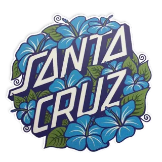 🌺 SANTA CRUZ Santa Cruz, California, ibisco, floreale, città, adesivo telegram sticker