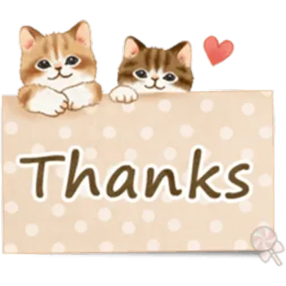 🐱 Thanks gracias, gatos, lindo, saludo, animales, amistad, agradecimiento whatsapp sticker