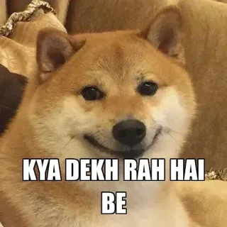 🔥 KYA DEKH RAH HAI BE pies, mem, śmieszne telegram sticker