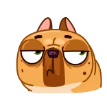 ๐
hond, cartoon, dier, grappig, huisdier, schattig telegram sticker