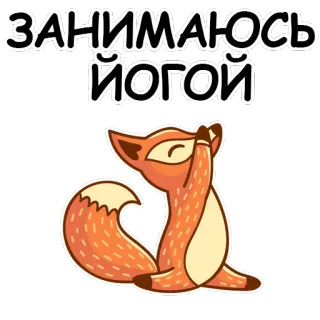 🐱 ЗАНІМАЮСЬ ЙОГОЮ Joga, Lis, Zwierzę, Ćwiczenia, Medytacja whatsapp sticker