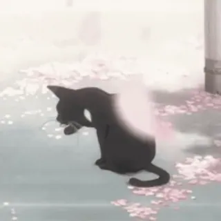 🌟 Katze, schwarze Katze, Tier, Kirschblüten telegram sticker