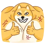 Doge whatsapp stickers