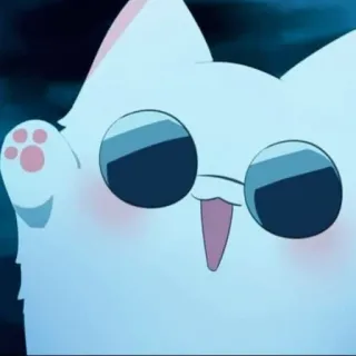 🧊 kot, anime, kreskówka, okulary whatsapp sticker