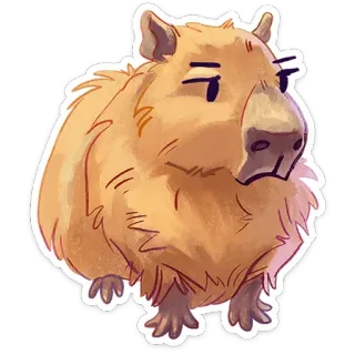 😒 Капибара, Животное, Милый, Грызун, Мультфильм, Наклейка, Капибара telegram sticker