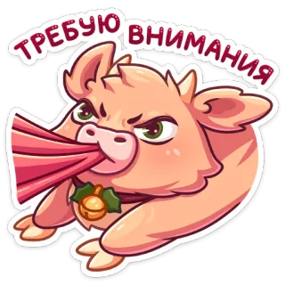 😤 ТРЕБУЮ ВНИМАНИЯ 소, 주의, 화난, 만화, 동물 telegram sticker