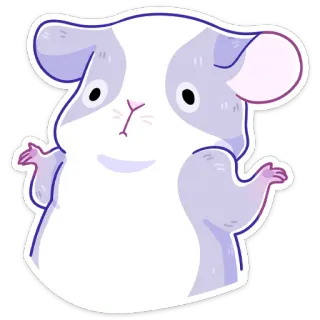 🤷‍♂️ porquinho-da-índia, animal, fofo, desenho animado, animal de estimação, roedor whatsapp sticker