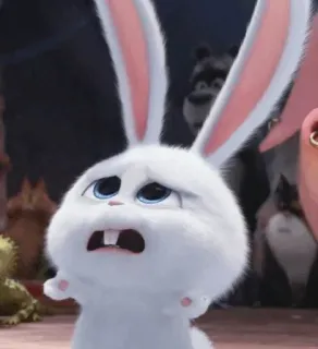 🍓 Snowball The Secret Life of Pets กระต่าย, กระต่าย, น่ารัก, การ์ตูน, ตัวละคร, สัตว์เลี้ยง, สัตว์, The Secret Life of Pets telegram sticker