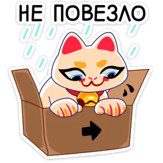 😖 НЕ ПОВЕЗЛО cat, lucky cat, box, unlucky, sad, rain whatsapp sticker