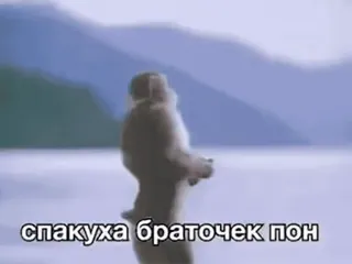 😪 спакуха браточек пон telegram sticker