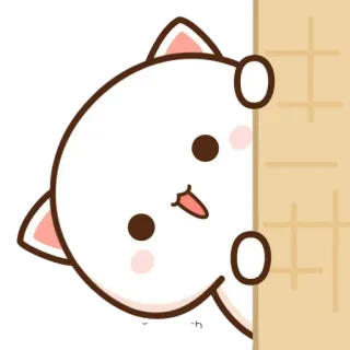 👀 Katze, süß, Tier, gucken, kawaii telegram sticker