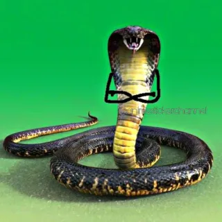 😠 Schlange, Kobra, Reptil, Tier, Gefahr whatsapp sticker