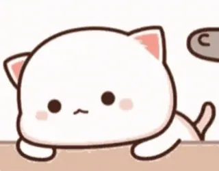 🌟 고양이, 귀여운, 하얀, 동물 whatsapp sticker