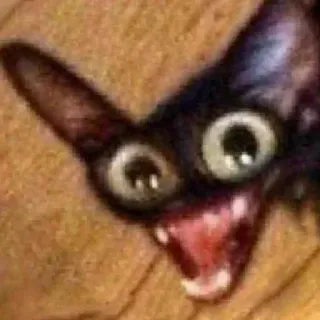 😂 猫, 動物, ミーム, 面白い, クレイジーな猫, 大きな目 whatsapp sticker