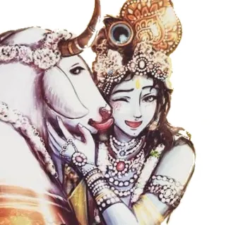 ❤️ Krishna Induismo, Religione, Divinità, Krishna, Mucca telegram sticker