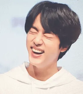 😂 Jin kpop, BTS, Jin, ca sĩ, thần tượng, nam telegram sticker