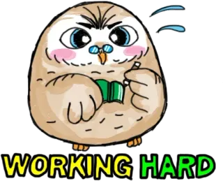 😒 WORKING HARD сова, учеба, очки, книга, работа, усердно, мультфильм, милый telegram sticker