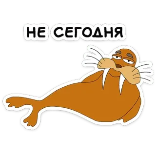 😒 НЕ СЕГОДНЯ walrus, animal, sticker, lazy, cartoon telegram sticker