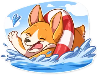 🏊 corgi, perro, nadando, salvavidas, verano, agua, animal whatsapp sticker