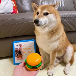 🐗 Cheems Cheems burger dog, shiba inu, burger, cheems, meme, funny, animal telegram sticker