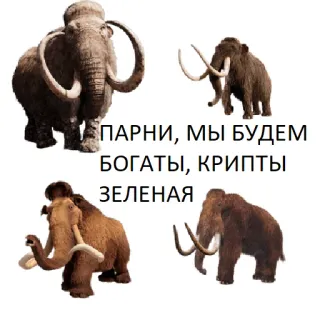 😋 ПАРНИ, МЫ БУДЕМ БОГАТЫ, КРИПТЫ ЗЕЛЕНАЯ 猛犸象, 加密货币, 财富 telegram sticker