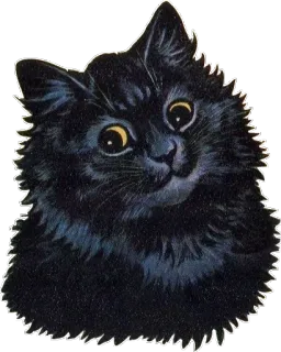 🙃 chat noir, chat, animal, animal de compagnie, autocollant, mignon telegram sticker