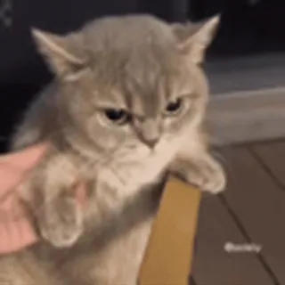 😡