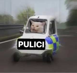 🌟 PULICI kat, politie, politie, auto, meme telegram sticker