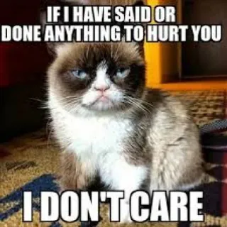 😏 Grumpy Cat IF I HAVE SAID OR DONE ANYTHING TO HURT YOU I DON'T CARE 猫, 暴躁猫, 梗, 搞笑, 幽默, 讽刺, 动物 whatsapp sticker