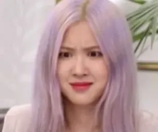 🌹 Rose kpop, Rose, Blackpink, muka lucu, meme, ekspresi telegram sticker