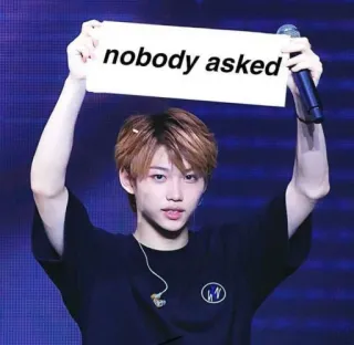 🙄 nobody asked มีม, ไม่มีใครถาม, ประชด, เคป็อป, Stray Kids, ฟีลิกซ์ telegram sticker