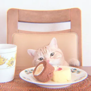 🐯 gatto, gattino, dessert, torta, carino, cibo, animale whatsapp sticker