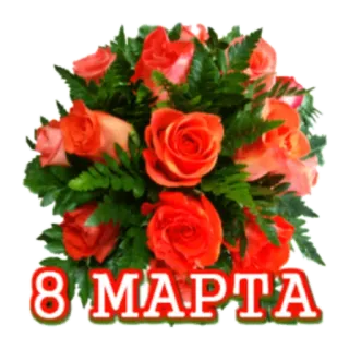 🙂 8 МАРТА 3月8日, 国際女性デー, 花, バラ, あいさつ telegram sticker