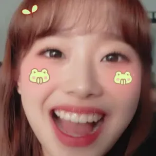 🐞 mulher, sorriso, rãs, fofo, retrato whatsapp sticker